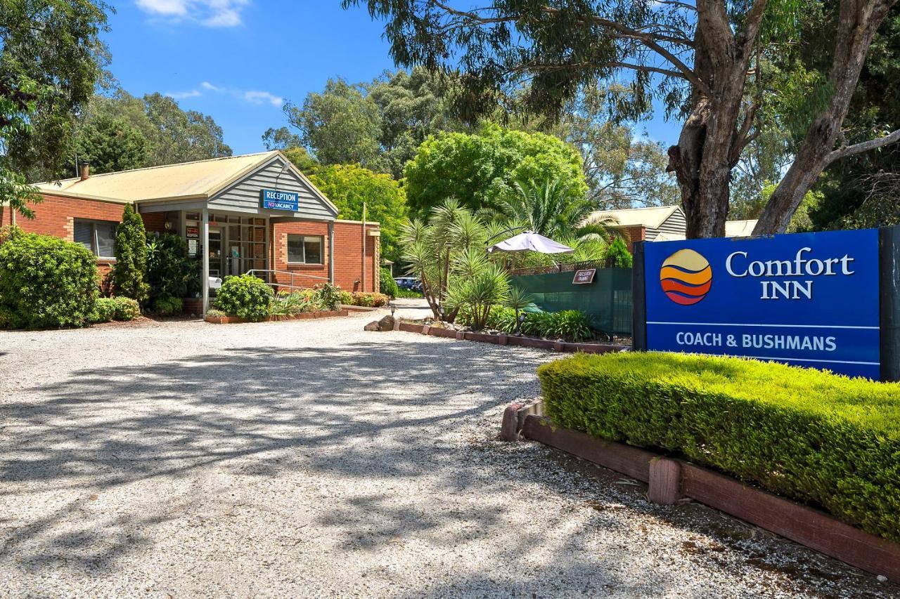 Comfort Inn Coach & Bushmans Seymour Esterno foto
