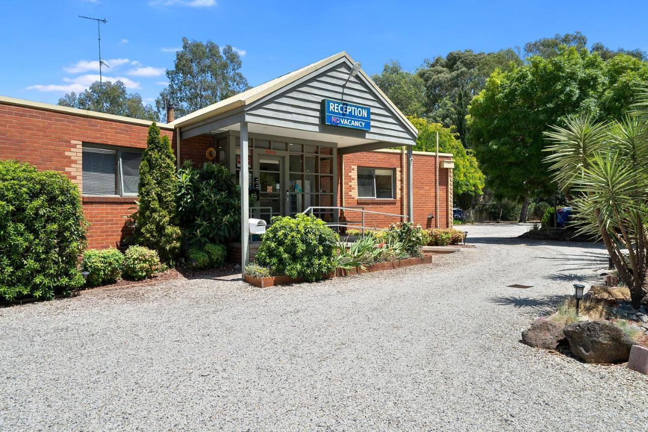 Comfort Inn Coach & Bushmans Seymour Esterno foto